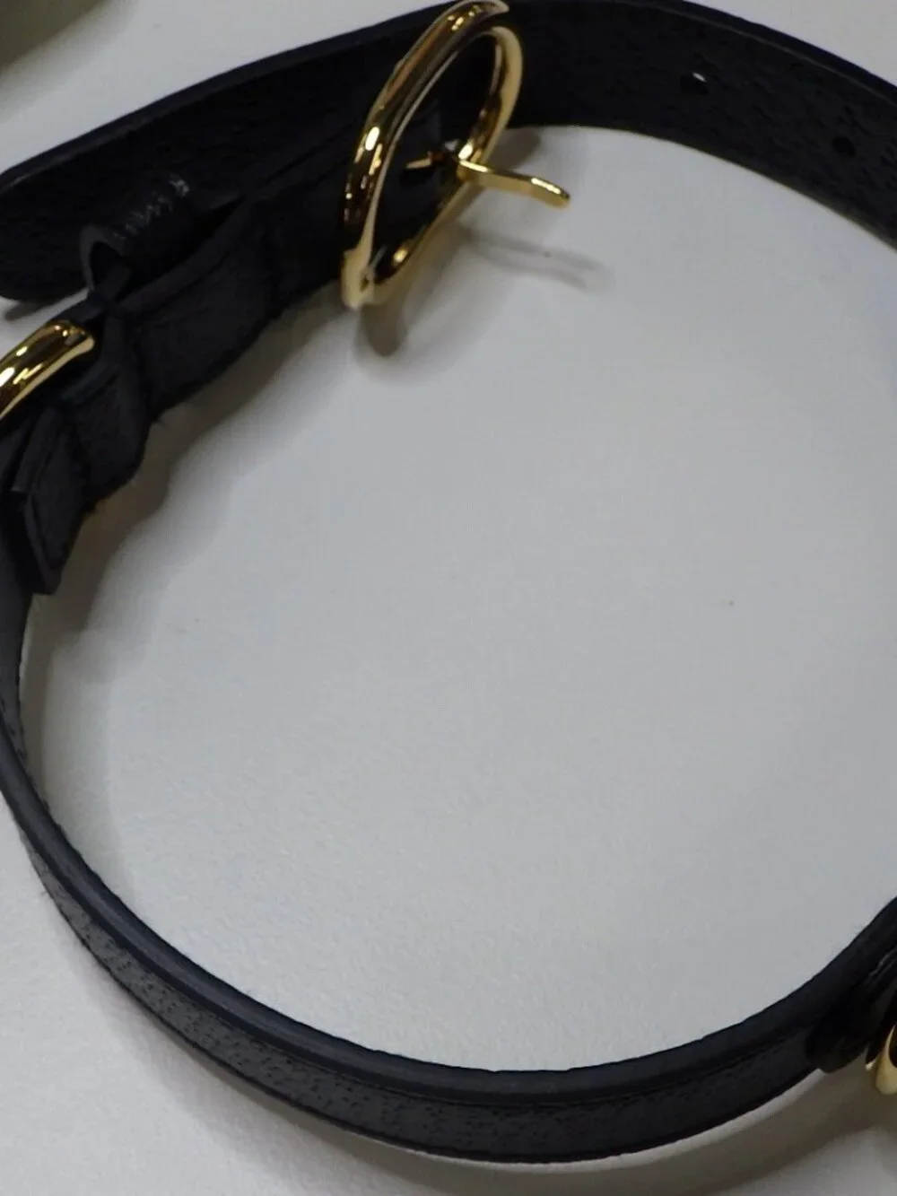 Gucci Dog Collar in Dustbag & Box
